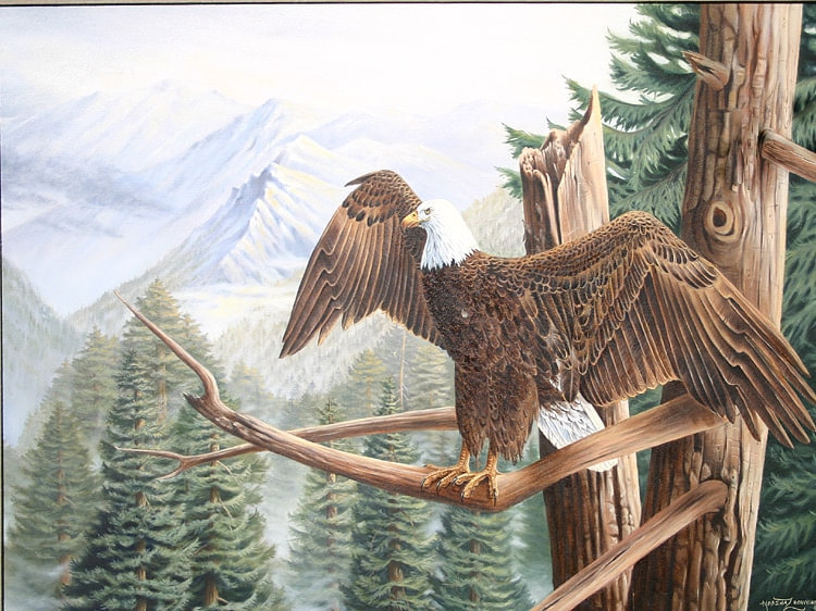 Oil painting of bald eagel on canvas by artist Marsha Bowers